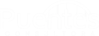 Consultora Puentes